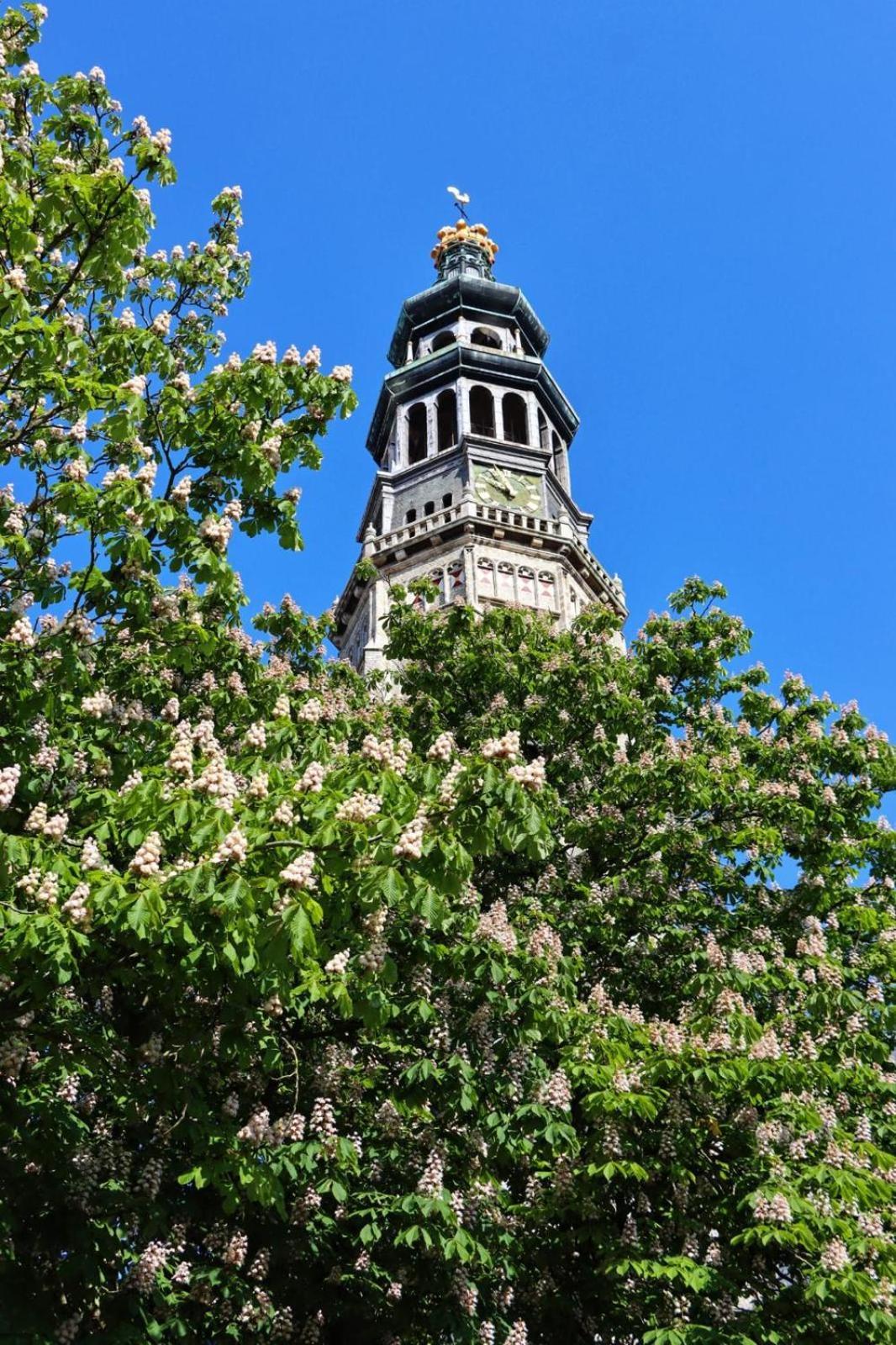 Anno 1706 Apartments Middelburg Luaran gambar